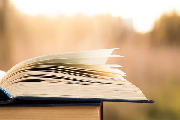Buka buku di atas latar belakang lanskap kabur — Stok Gambar Buka Buku Atas Latar Belakang Lanskap Kabur Stok Gambar Bebas Royalti