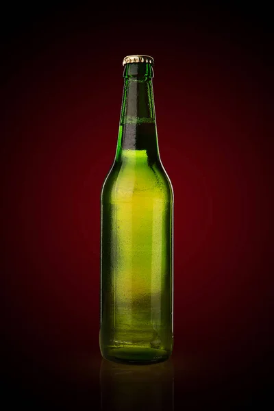 Frío botella de cerveza húmeda — Foto de Stock