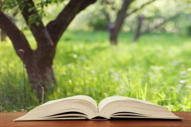 Manzara arka plan üzerine açık kitap