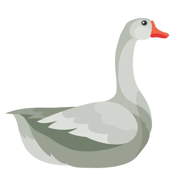 Natuurlijke grijze gans van een boerderij, geïsoleerd object op een witte achtergrond, vectorillustratie, — Stockvector