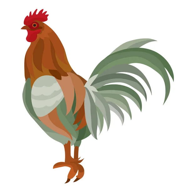 Beautiful stylish farm cock, flat, cartoon illustration, isolated object on a white background, vector illustration, — Stock Vector