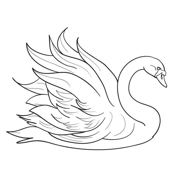 Boceto Hermoso Cisne Con Hermosas Alas Libro Para Colorear Objeto — Vector de stock