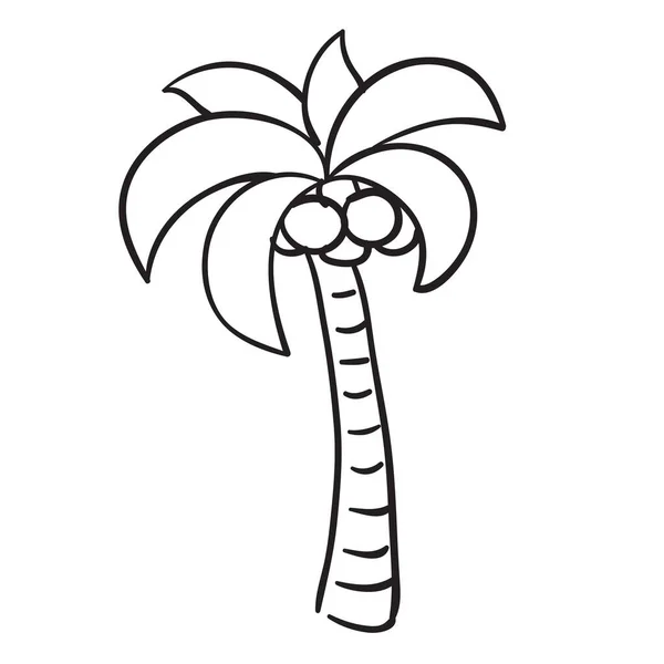 Boceto Palmera Con Cocos Libro Para Colorear Ilustración Dibujos Animados — Archivo Imágenes Vectoriales