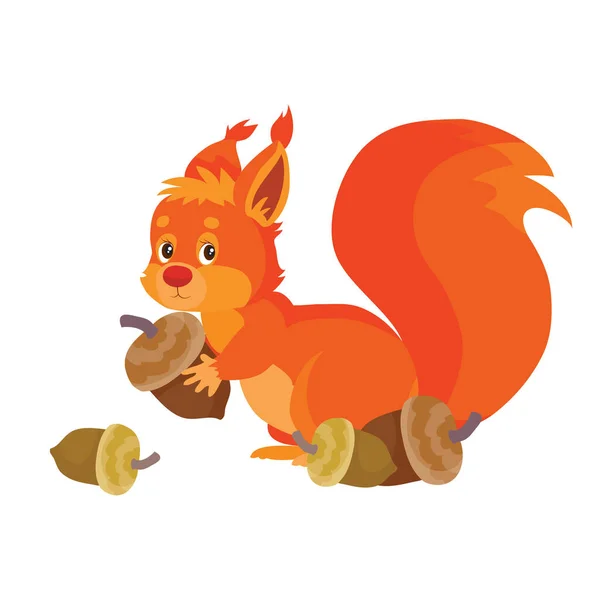 Red Haired Eater Stot Acorns One Holding Its Paws Isolated — Stock Vector