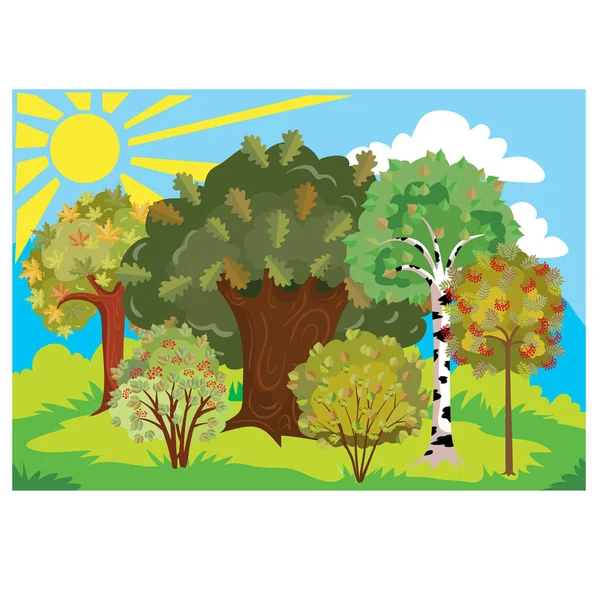 autumn landscape during sunny weather, forest, trees, bushes and sun, cartoon illustration, vector, eps