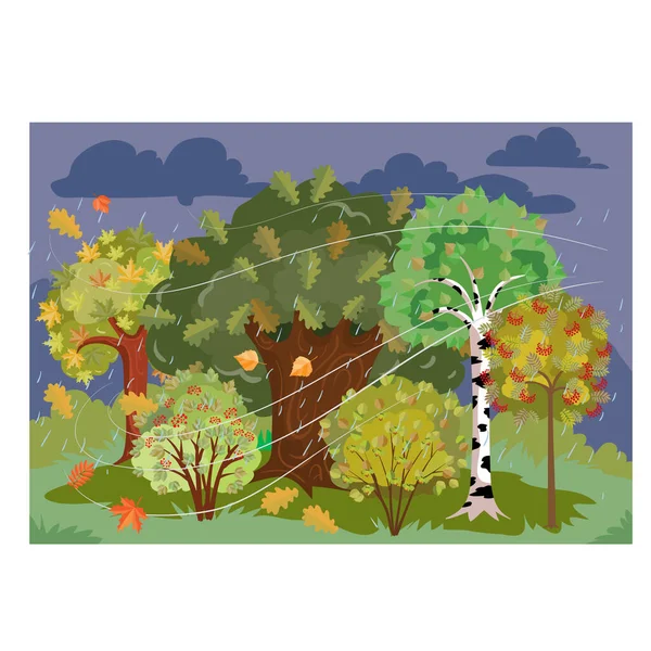 Podzimní Krajina Oblačného Počasí Déšť Les Stromy Keře Slunce Kreslené — Stockový vektor