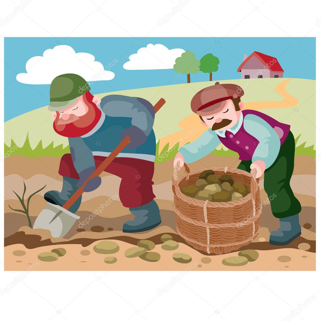 two peasants in the field dig potatoes and harvest their crops in a wicker basket, house, ranch, farmstead, vector illustration, eps