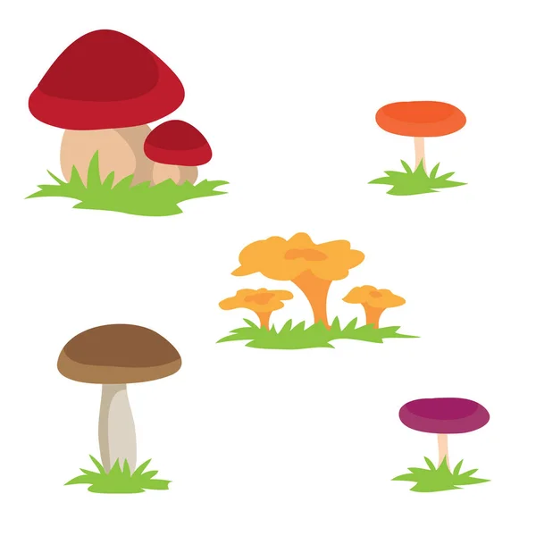 Conjunto Diferentes Cogumelos Objeto Isolado Sobre Fundo Branco Ilustração Vetorial — Vetor de Stock