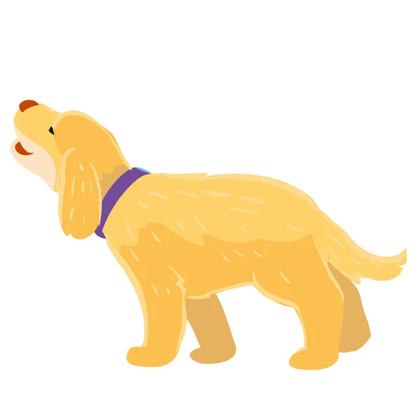 Hond Setter Beige Kleur Cartoon Illustratie Geïsoleerd Object Witte Achtergrond — Stockvector