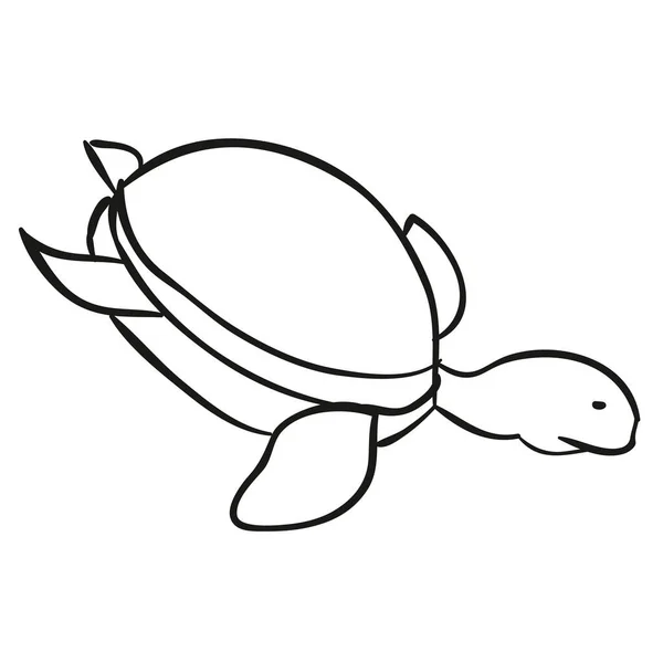 Sketch Sea Turtle Coloring Book Caricature Isolated Object White Background — Stock Vector