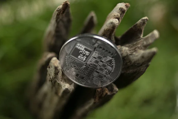 Bitcoin Coin Liegt Auf Einem Alten Baum Grünen Gras — Stockfoto