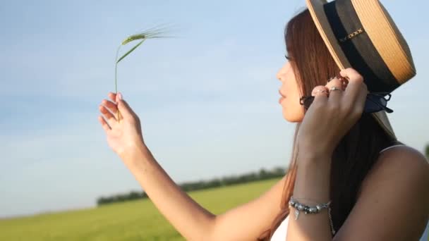 Dziewczyna w pięknej sukni letniej i kapelusz na polu pszenicy gospodarstwa kolczatki — Wideo stockowe