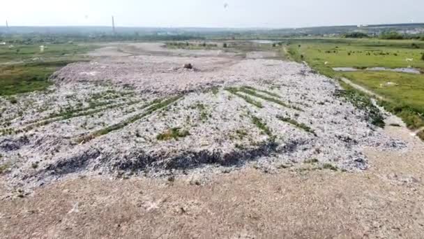 Miasto wysypisko góry śmieci, nad którymi latają mewy ptaków — Wideo stockowe