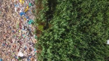 Rusya 'da çöplerle dolu göller çevresel bir felakettir.