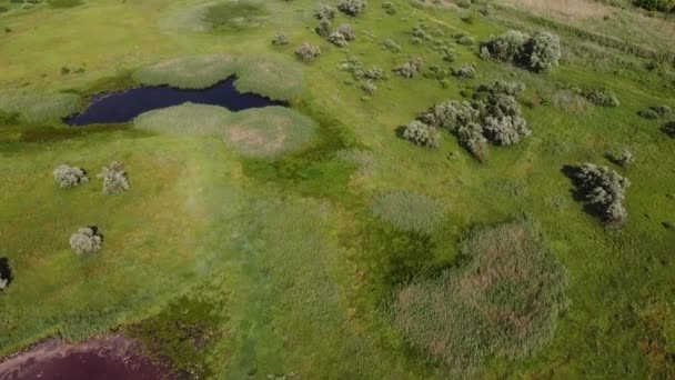 러시아의 플라스틱 쓰레기가 널려 있는 호수들, 환경 재앙 — 비디오