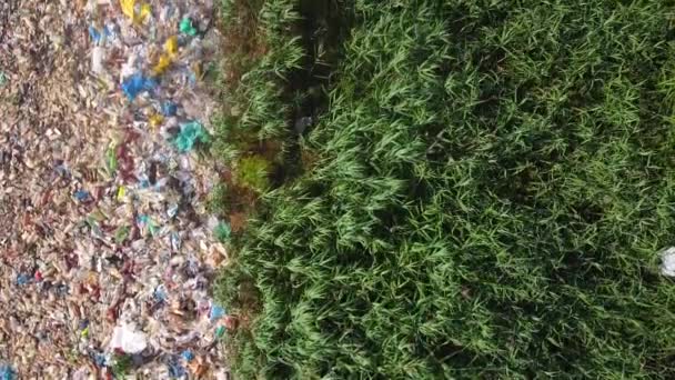 Jeziora zaśmiecone plastikowymi odpadami w Rosji katastrofa ekologiczna — Wideo stockowe