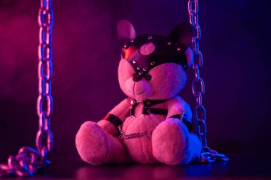 Deri kemer takmış oyuncak ayı BDSM oyunları için aksesuar neon ışıklı karanlık bir arka planda