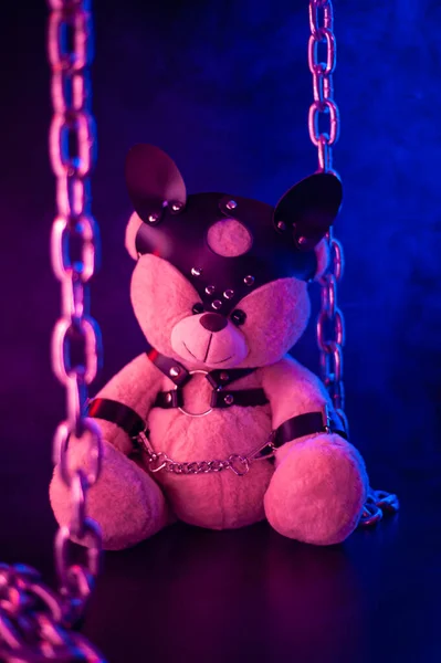 Toy bear dressed in leather belts harness accessory for BDSM games on a dark background in neon light — Stock Photo, Image