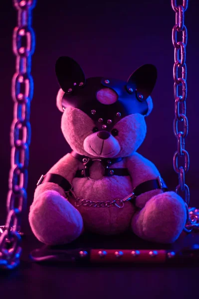 Orso giocattolo vestito in cinture di pelle imbracatura accessorio per giochi BDSM su uno sfondo scuro in luce al neon — Foto Stock