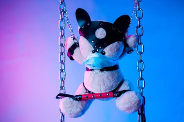 Deri kemer takan bir oyuncak ayı BDSM oyunları için aksesuar takıyor. Siyah bir arka planda neon ışığı altında, tıbbi maske takıyor.