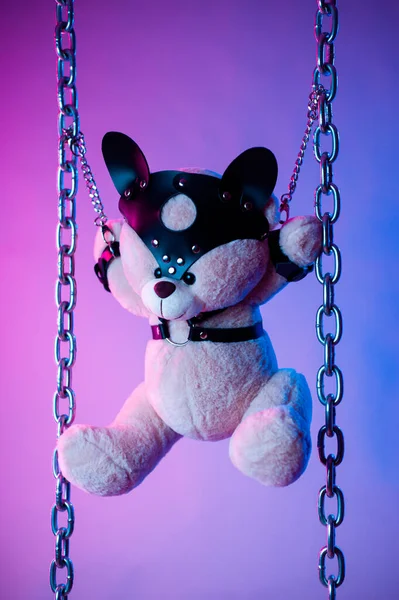 Deri kemer takmış oyuncak ayı BDSM oyunları için aksesuar neon ışıklı karanlık bir arka planda