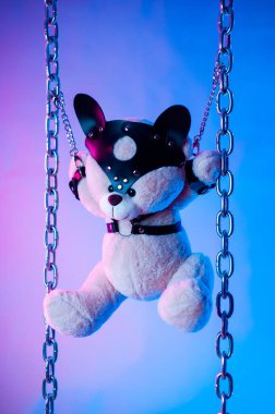 Deri kemer takmış oyuncak ayı BDSM oyunları için aksesuar neon ışıklı karanlık bir arka planda