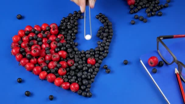 Corazón de bayas de espino Y Aronia Prunus un símbolo de salud y longevidad — Vídeos de Stock