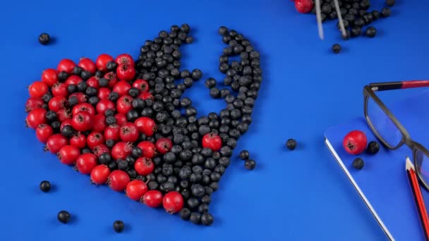 Heart of hawthorn berries And Aronia Prunus-a symbol of health and longevity — Stock Video