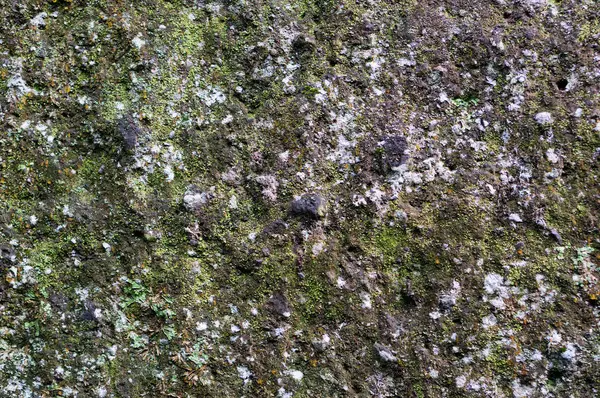 Alte Steinmauer Mit Moos Und Türsturz — Stockfoto