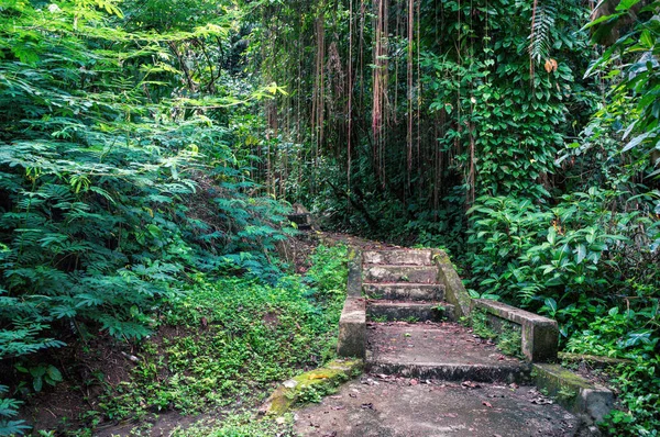 Escadas Pedra Exuberante Floresta Tropical Bali Indonésia — Fotografia de Stock
