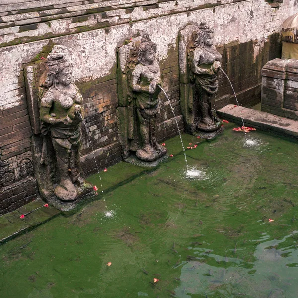 Sources Saintes Dans Temple Goa Gajah Près Ubud Bali Indonésie — Photo