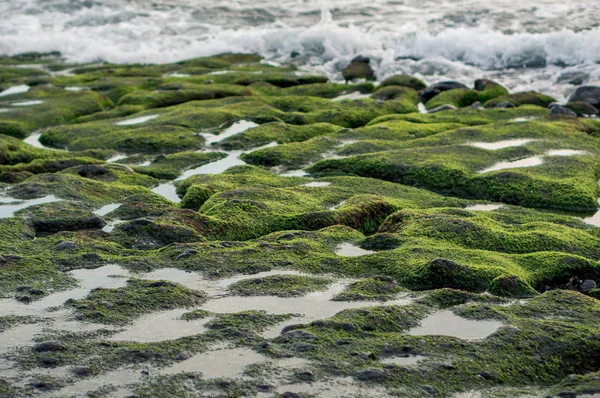 Sea Tide Mosstäckta Steniga Stranden Bali Indonesien — Stockfoto