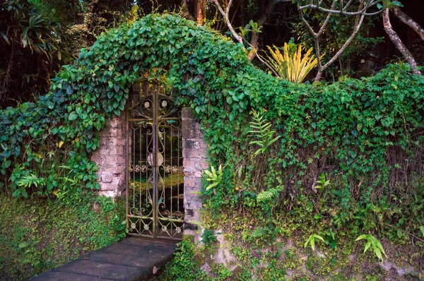 Geschlossene Mit Efeu Bewachsene Tore Zum Tropischen Garten Bali Indonesien Stockfoto
