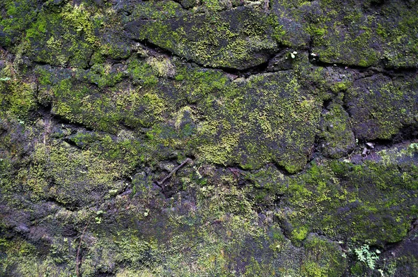 苔むして割れた岩の壁 自然の背景 — ストック写真