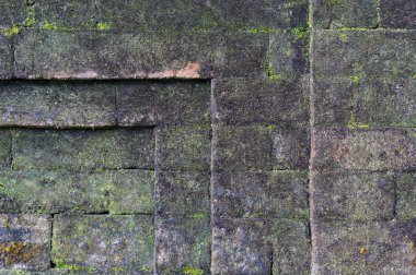 Eski tuğla duvar yosun ile parçalara ayırması
