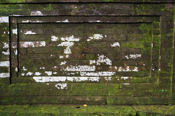 Eski Tuğla Duvar Yosun Ile Parçalara Ayırması — Stok fotoğraf