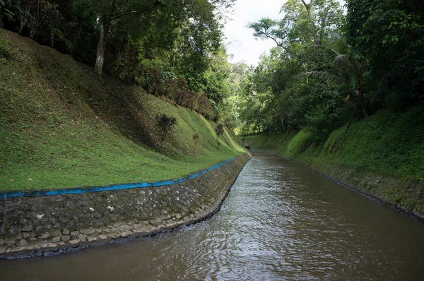 Fiume Piccola Diga Idroelettrica Nella Foresta Tropicale Bali Indonesia — Foto Stock