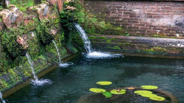 Su akıntısı Sebatu Gunung Kawi kutsal yaylar, Bali, Endonezya havuza akan