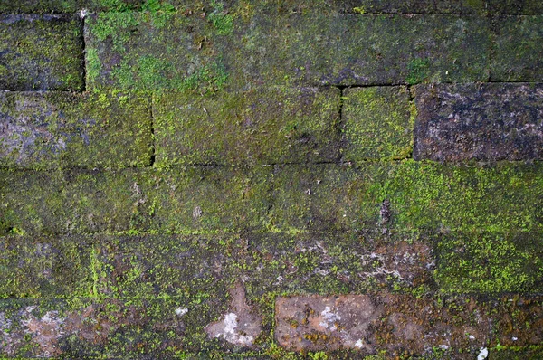 Fragment Vieux Mur Briques Avec Mousse — Photo