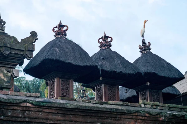 Czapla Biała Siedzi Szczycie Czarny Dach Wykonany Włókna Kokosowego Fragment — Zdjęcie stockowe