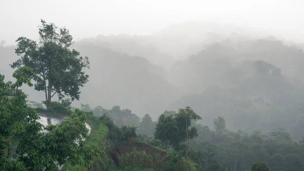 Giro Del Camino Asfalto Húmedo Sobre Barranco Niebla Durante Lluvia —  Fotos de Stock