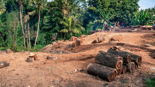 インドネシア 2016年10月31日 熱帯林 ウブド インドネシアの地域で木材を見ているバリの労働者 — ストック写真