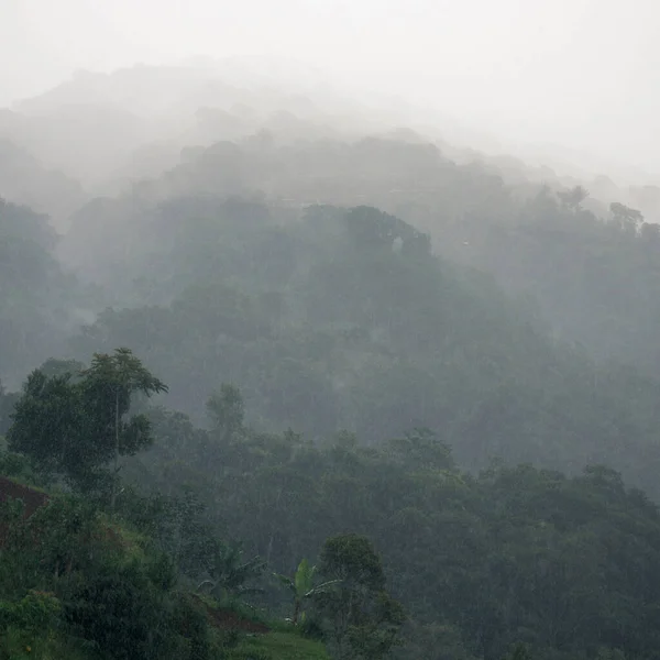 Veduta Delle Colline Coperte Foresta Tropicale Nebbia Sotto Pioggia Bali — Foto Stock