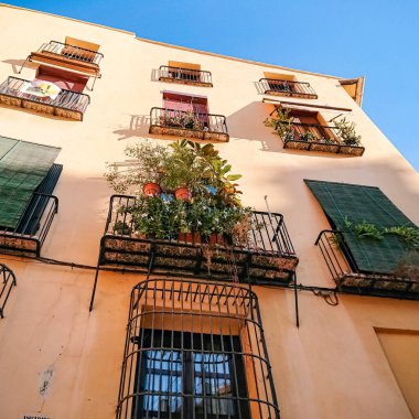 Valencia, İspanya - 27 Ekim 2019: Geleneksel Valencian binasının balkonunda yetişen bitkiler.
