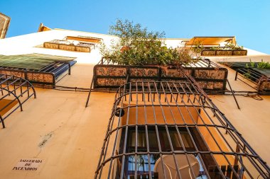 Valencia, İspanya - 27 Ekim 2019: Geleneksel Valencian binasının balkonunda yetişen bitkiler.