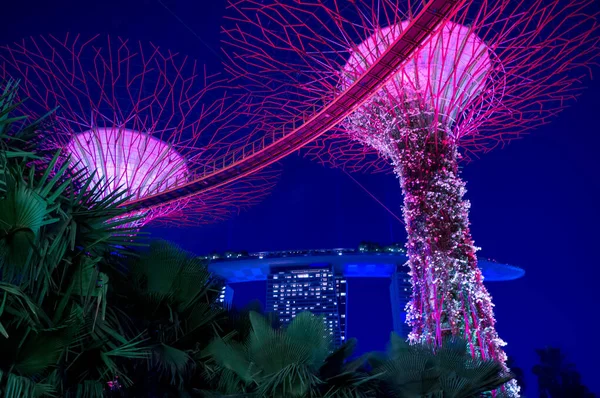 Singapore September 2016 Night View Futuristic Supertree Grove Gardens Bay — Stock Photo, Image