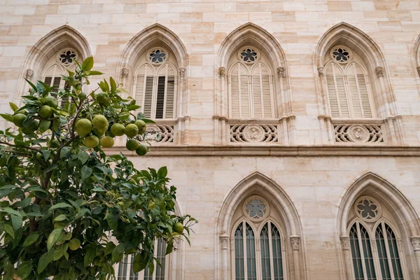 Naranjo Fondo Del Antiguo Edificio Con Ventanas Estilo Gótico Casco — Foto de Stock