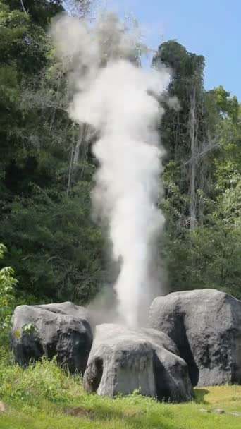 Κυνόδοντα Hot Springs geyser timelapse — Αρχείο Βίντεο