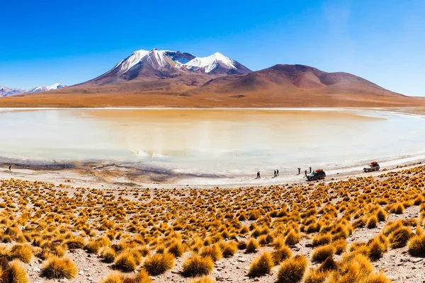 Vista Aérea Laguna Canapa Lago Salado Altiplano Bolivia — Foto de Stock