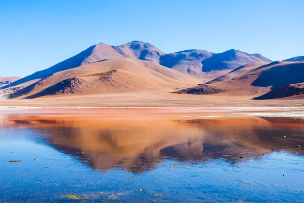 Laguna Colorada Significa Lago Rojo Lago Salado Poco Profundo Suroeste — Foto de Stock